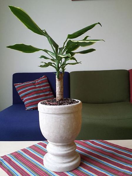 Lasteaia v��rtused