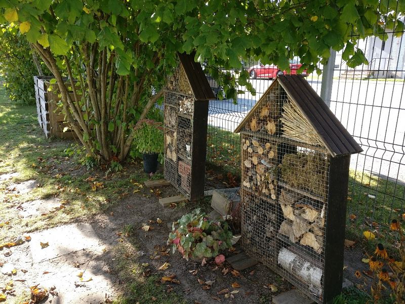 Lasteaia keskkonnap�him�tted